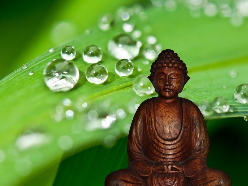 Meditation Yoga Wiesbaden